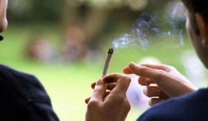 دراسة في أم الجامعات تقلق الشارع: 16% يتعاطون مواد مخدرة ومسكرة