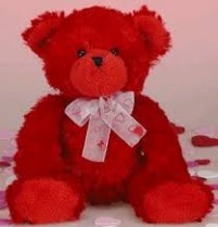 بالصورة .. مواطن يثير الجدل في عيد الحب .. شاهد ماذا فعل !!