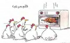 صيصان الامة و اراضي وزارة الزراعة !!