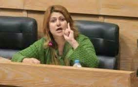 بالوثائق... النائب الحروب تستجوب وزير الطاقة