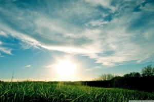 مع نهاية الشتاء .. تصريح هام من دائرة الأرصاد الجوية للمواطنين