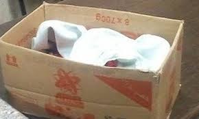 الأجهزة الأمنية تعثر على لقيطة داخل احدى المغارات في عمان