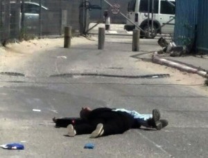 الاحتلال يقتل فلسطينية بـ 15 رصاصة ويعدم طفلاً .. فيديو