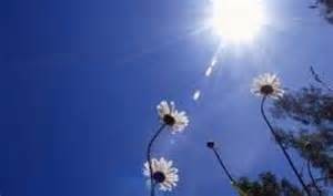 طقس معتدل وتوقعات بأجواء مغبرة بالمناطق الصحراوية