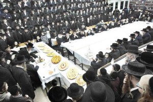 فتوى إرهابية ضد الفلسطينيين