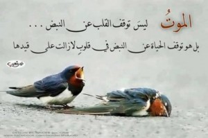 لعبة الموت الغادرة !