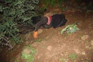 بالتفاصيل .... 3 شبان يقتلون شقيقتهم "طعناً " حتى الموت بعد تغيبها عن المنزل