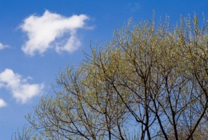 شمس الخميس تعلن انتهاء فصل الصيف وبداية الخريف فلكيا