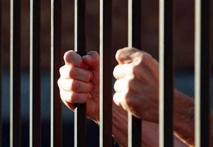 إحالة قاتل أمه في مأدبا إلى "الجنايات"