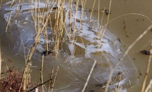 بدء ‘‘مربعانية الشتاء‘‘..