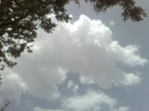 الثلاثاء: انخفاض على درجات الحرارة