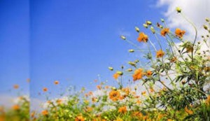 الخميس: ارتفاع على درجات الحرارة