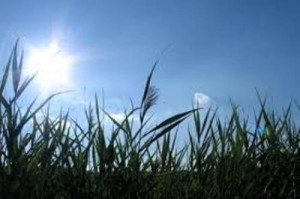 طقس بارد لثلاثة أيام