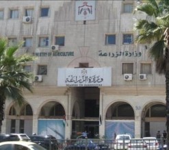 مشاجرة عنيفة وإصابات خلال اجتماع بجناح الوزير في وزارة الزراعة