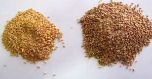 الصحة النيابية: سنبحث قضية شحنة القمح ونسائل الجهة المعنية