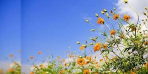 الثلاثاء: أجواء ربيعية