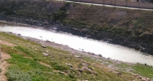 بالصور ..بركة "البيبسي" كابوس جاثم على صدور أبناء اسكان الأمير هاشم في الرصيفة