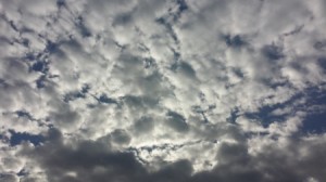 الإثنين: أجواء ربيعية دافئة وفرصة خفيفة لتساقط الامطار