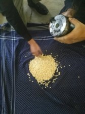 احباط تهريب 50 الف حبة مخدرة بعد مطاردة والقاء القبض على المتورطين .. صور