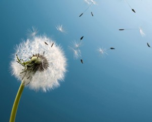 تحذير من اجواء الاحد