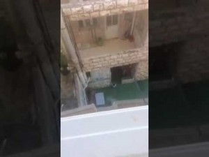 والد طفلة الحضانة: شاهدنا مقطع الفيديو عبر "الفيس بوك" و والدتها اصيبت بإنهيار عصبي