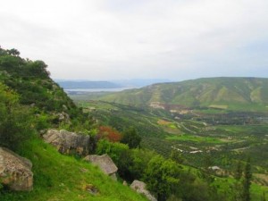 الأربعاء .. أجواء ربيعية دافئة