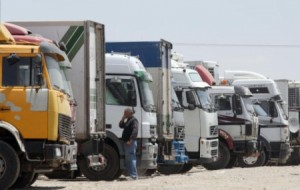 قطر تسمح بادخال المنتوجات الزراعية الاردنية بعد التاكد من سلامتها