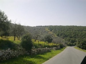 أجواء مثالية للرحلات يومي الجمعة والسبت