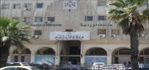 الزراعة: لا حظر لدخول الخضار والفواكه الاردنية للاسواق الخليجية ولم نتسلم شيئا من الكويت