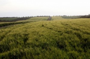 الأربعاء .. طقس ربيعي مُعتدل ومُشمس