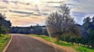 اجواء ربيعية دافئة السبت والاحد