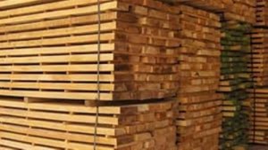 ضبط شحنة أخشاب ملوثة إشعاعيا وإعادتها الى بلد المصدر