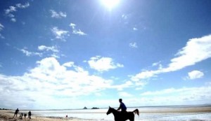 الخميس .. انخفاض على درجات الحرارة