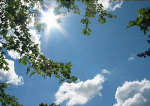 الخميس .. أجواء دافئة ولطيفة