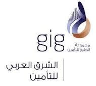 التأمين الطبي - داخل المستشفى وبأسعار اقتصادية مع gig | الشرق العربي للتأمين