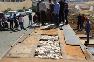 في اكبر قضية في المملكة لهذا العام : احباط تهريب (٩ مليون حبه مخدره ) لاحدى دول الجوار