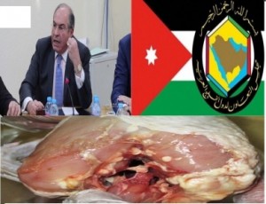 "الازمة الخليجية" تنتزع "الدجاج الفاسد" من الرأي العام الاردني..وتوفر للملقي فرصة النجاة من اشكالية ترقية نجله