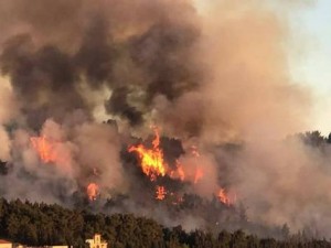 الملك شارك بإخماد حريق الكمالية