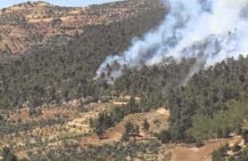 طائرة لمتابعة اسد في غابات جرش اثر معلومات فيسبوكية