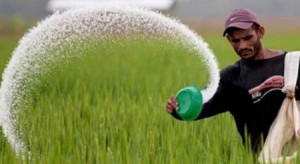 تحذير من رش المزروعات بالمواد الكيماوية في الحر