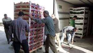 خبراء: التسويق الزراعي يعاني اختلالا بالعرض والطلب