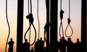 مصدر حكومي: مرتكبي الجرائم الجنائية سيطبق عليهم القصاص العادل