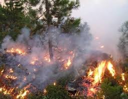 الدفاع المدني يعمل على إخماد حريق مفتعل في عجلون