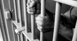 الحبس لشاب زوّر شهادة توجيهي مصرية