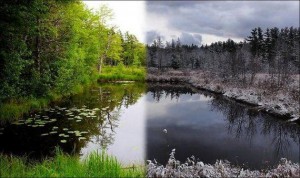 تعرف على حالة الطقس ليوم الخميس