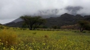 كتلة هوائية جديدة أكثر برودة متوقعة مطلع الأسبوع الجديد