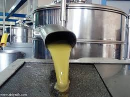 مزارعون يتوقعون انخفاض أسعار زيت الزيتون بالأردن