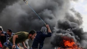 11 شهيدا فلسطينيا منذ اعلان ترمب