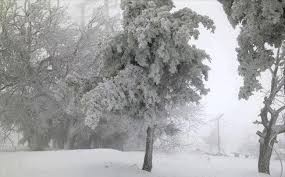 منخفض جوي عميق يؤثر على المملكة الأسبوع القادم يتخلله ’تساقطاً للثلوج‘