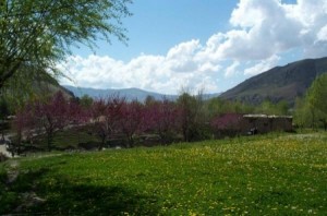 السبت .. اجواء خريفية نهاراً .. وباردة ليلاُ